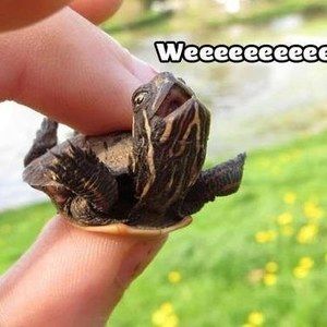 Meet your Posher, Michel